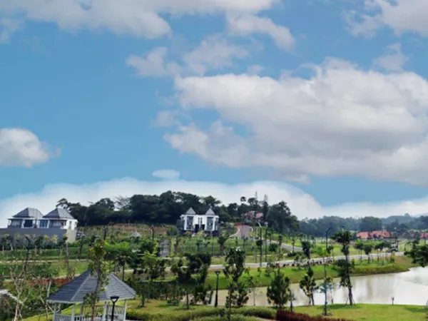 Area Cluster Maple - View 5