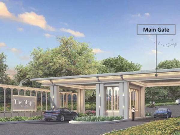 Area Cluster Maple - View 7